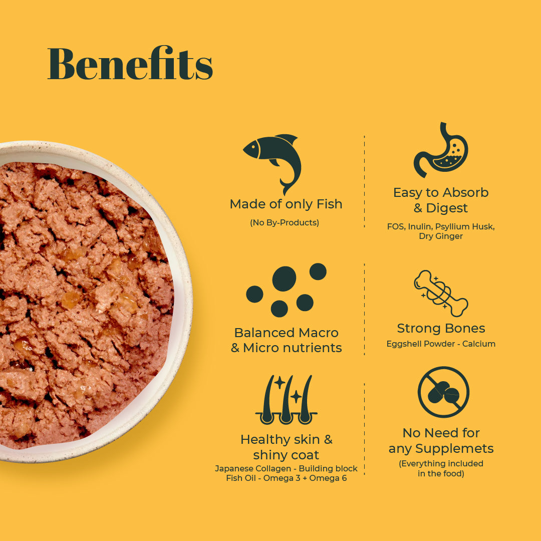 Indiecat Adult Fish Royal Glow (70g packs)