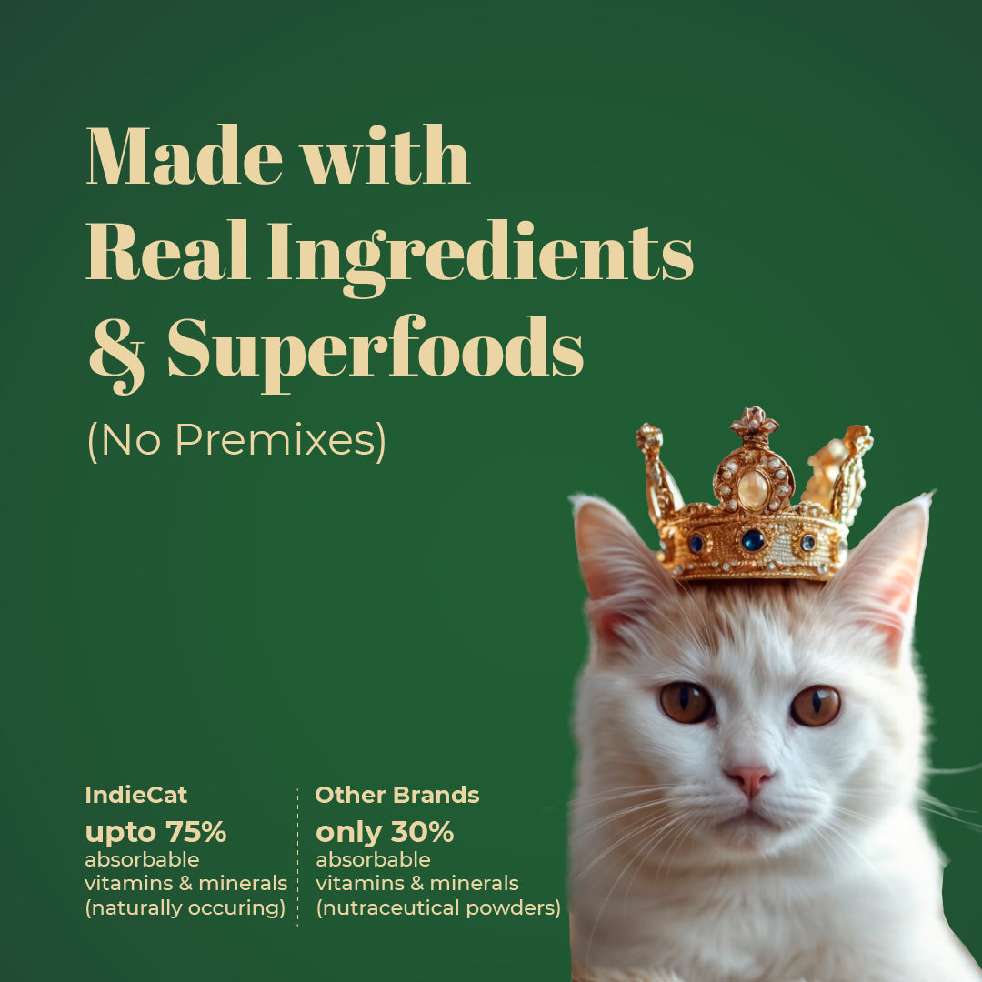 Indiecat Adult Chicken Royal Glow (80g packs)