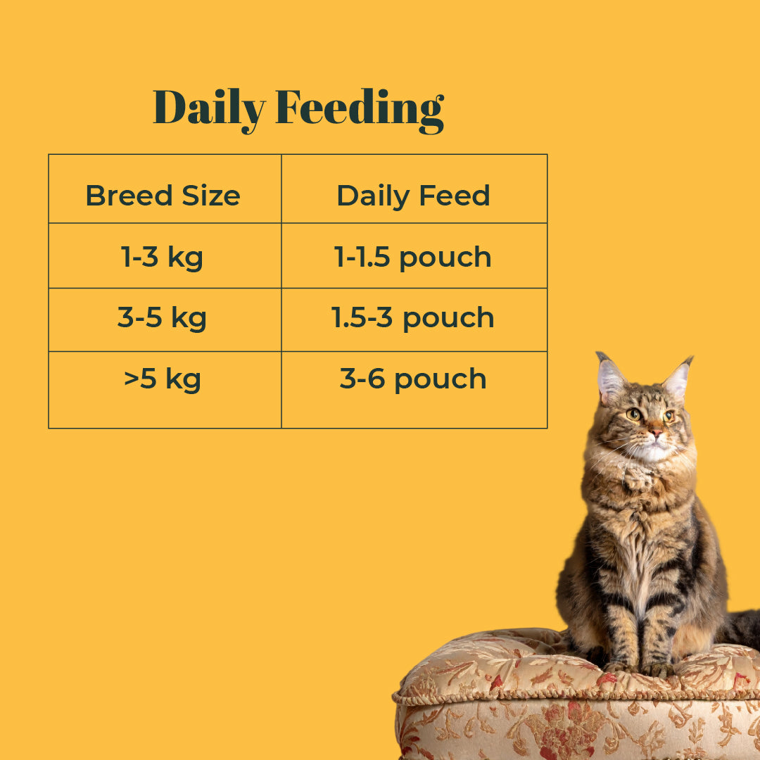 Indiecat Adult Chicken Royal Glow (80g packs)