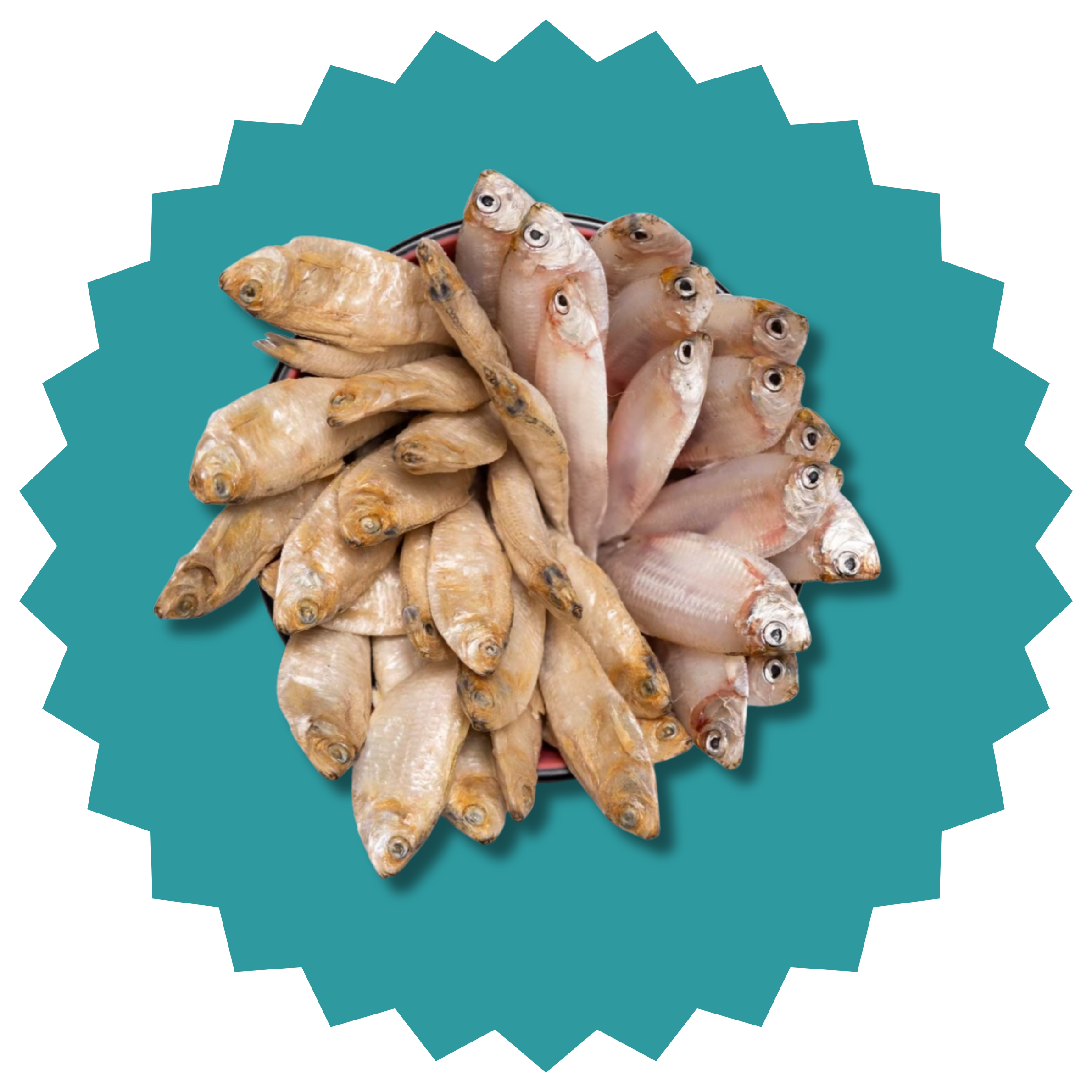 Wild-Caught Anchovy Treats for Dogs and Cats