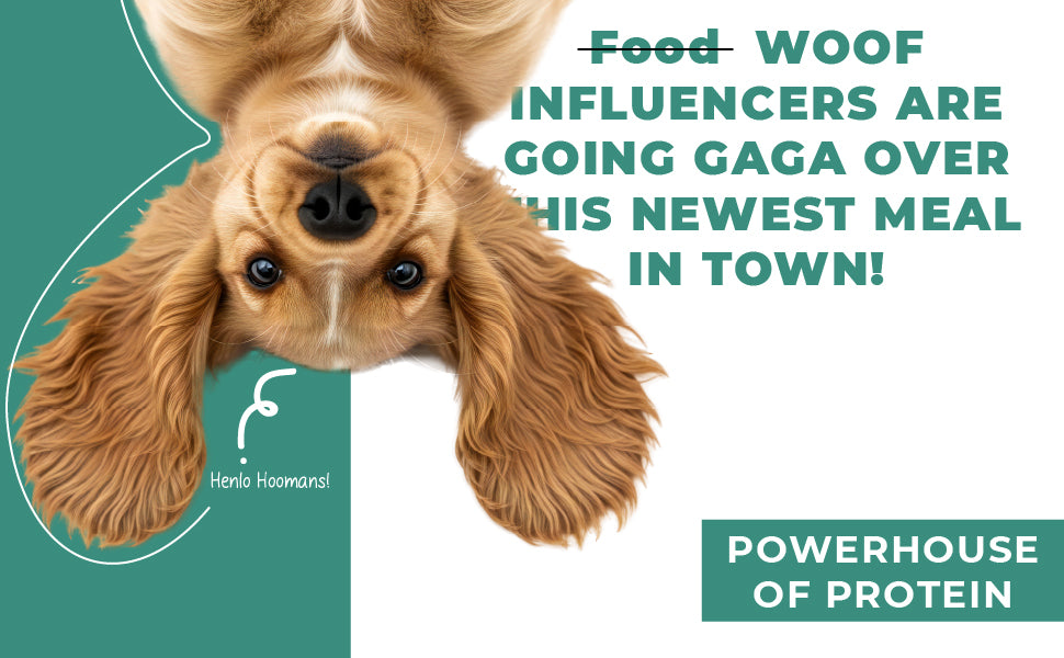 Barkkins Chicken & Egg - Puppy (100g packs)