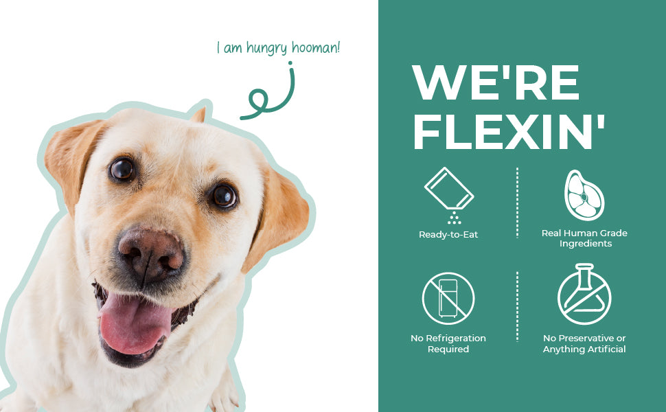 Barkkins Chicken & Egg - Puppy (100g packs)