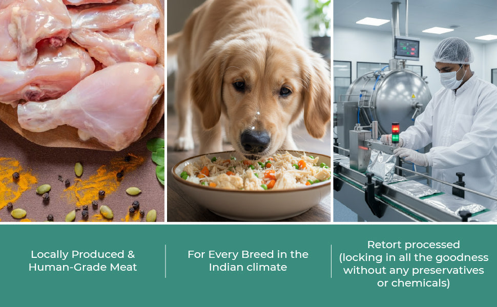 Barkkins Chicken & Egg - Puppy (100g packs)