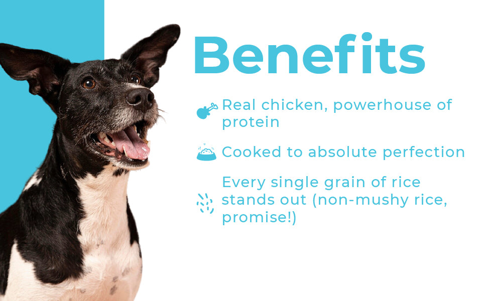 Barkkins Chicken & Rice - Adult