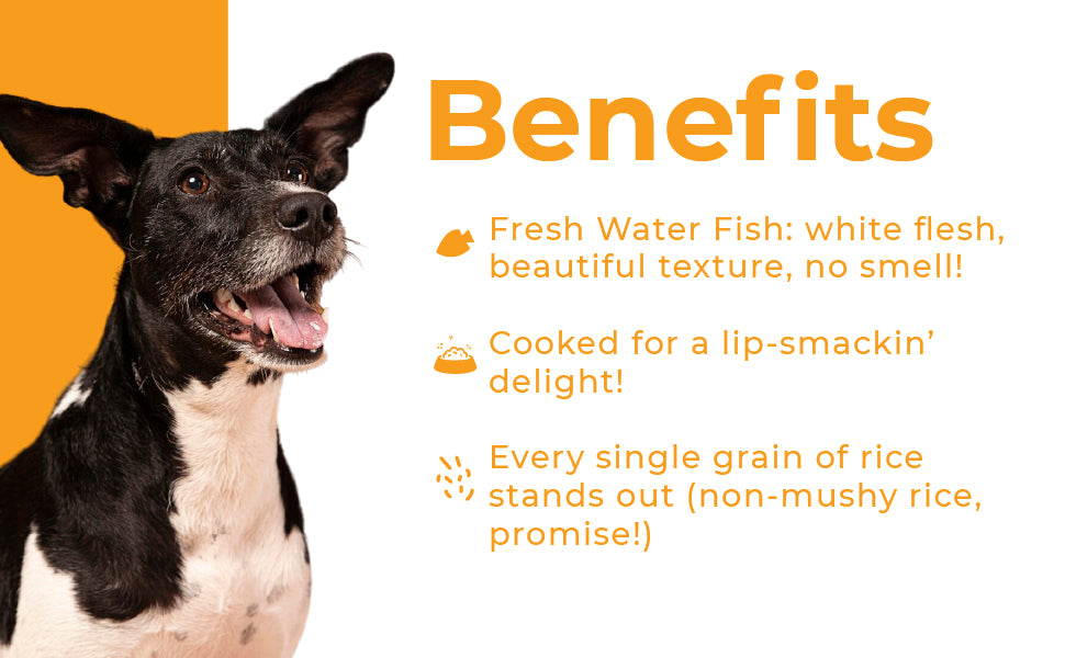 Barkkins Fish & Rice - Adult