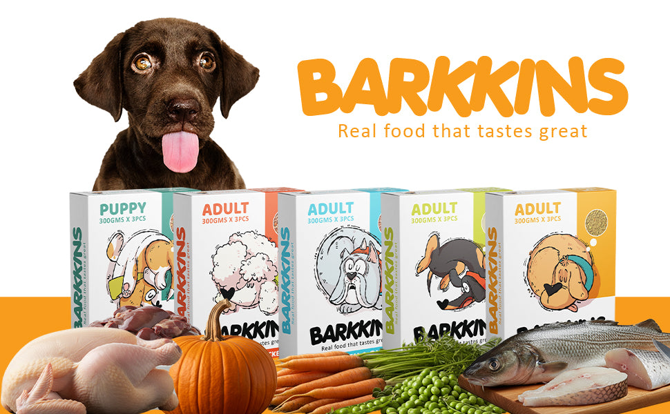 Barkkins Fish & Rice - Adult