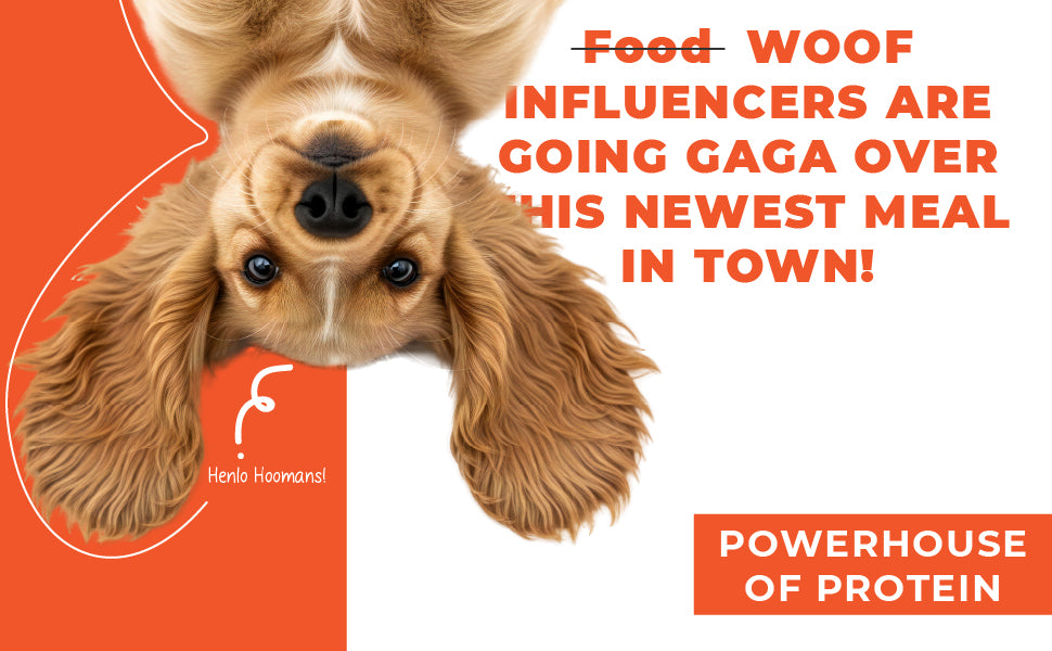 Barkkins Grain-free Chicken Meal - Adult