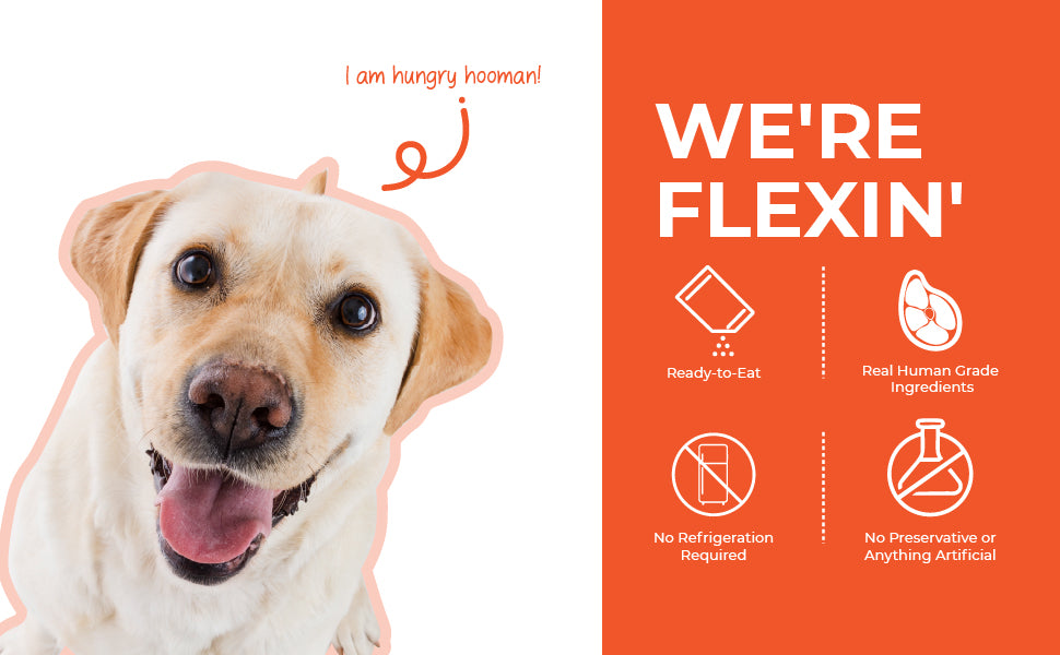 Barkkins Grain-free Chicken Meal - Adult