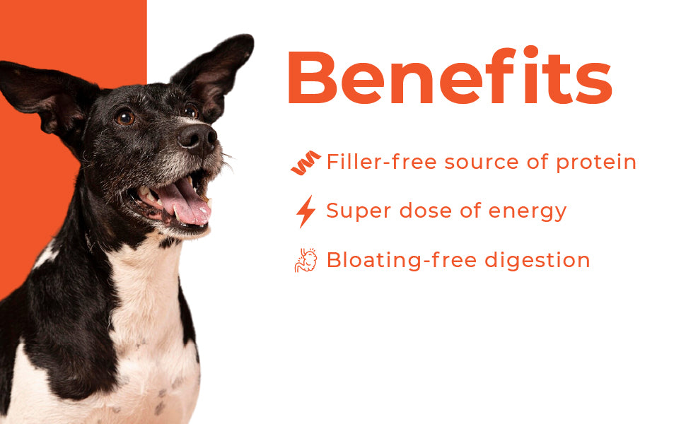 Barkkins Grain-free Chicken Meal - Adult