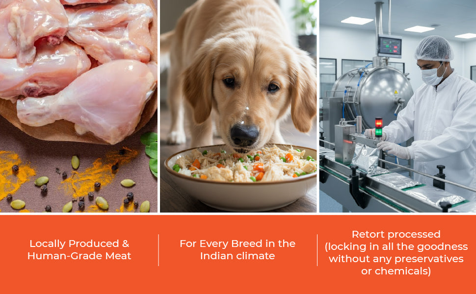 Barkkins Grain-free Chicken Meal - Adult