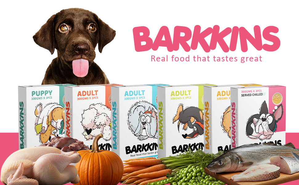 Barkkins Jelly Broth (100g - Pack of 3)