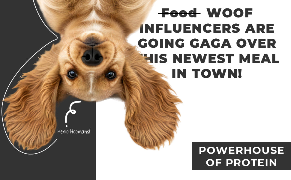 Barkkins Adult Trial Pack