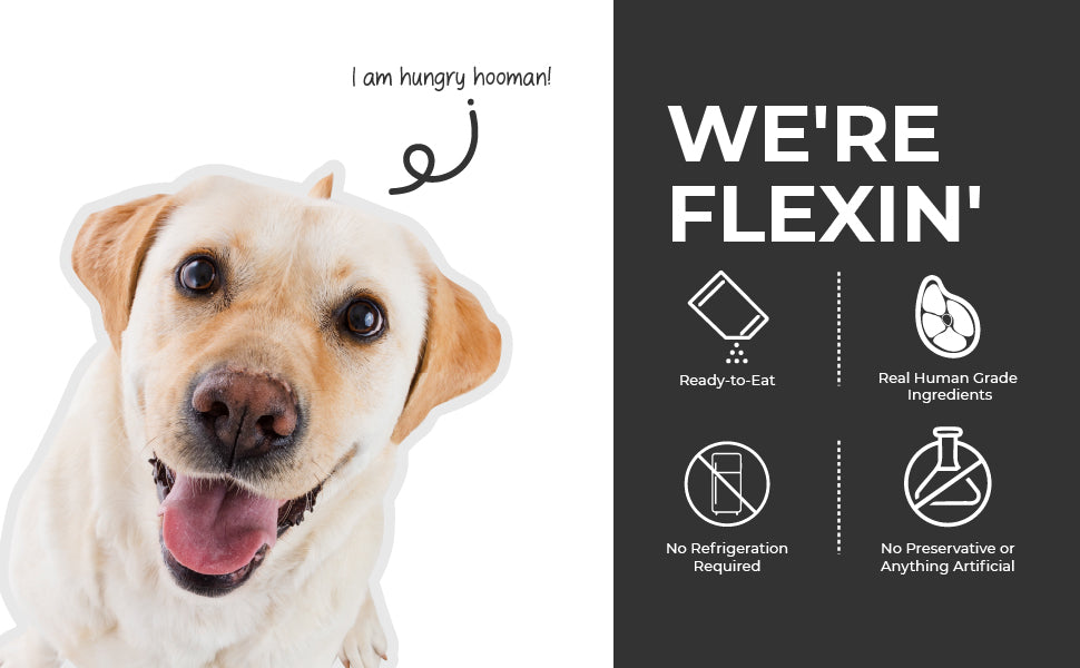 Barkkins Adult Trial Pack