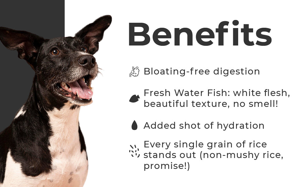 Barkkins Adult Trial Pack