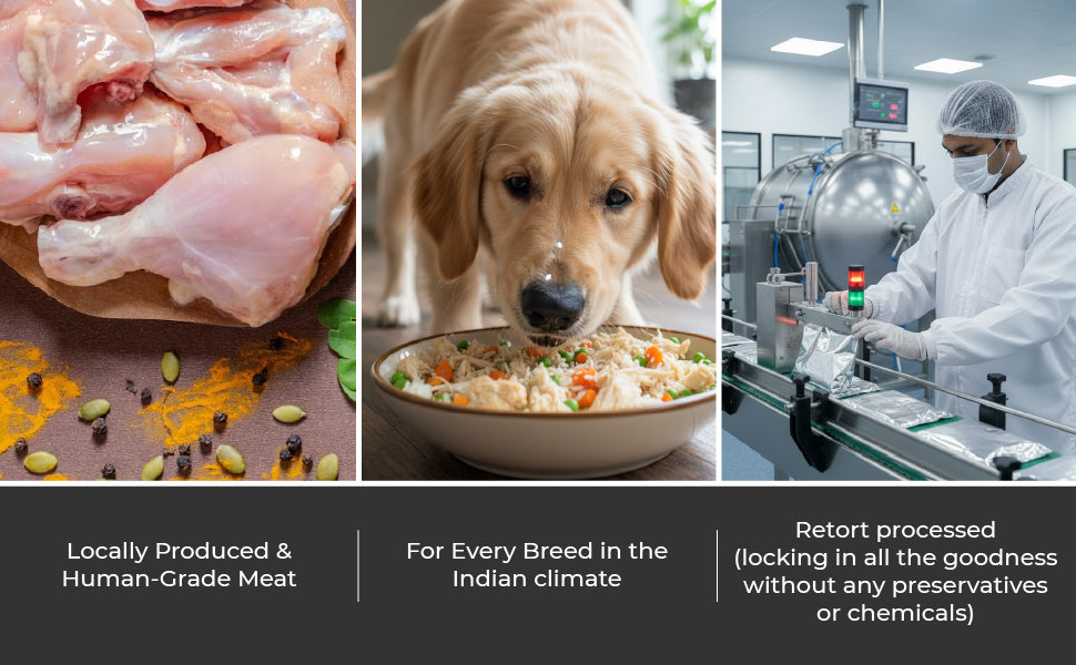 Barkkins Adult Trial Pack