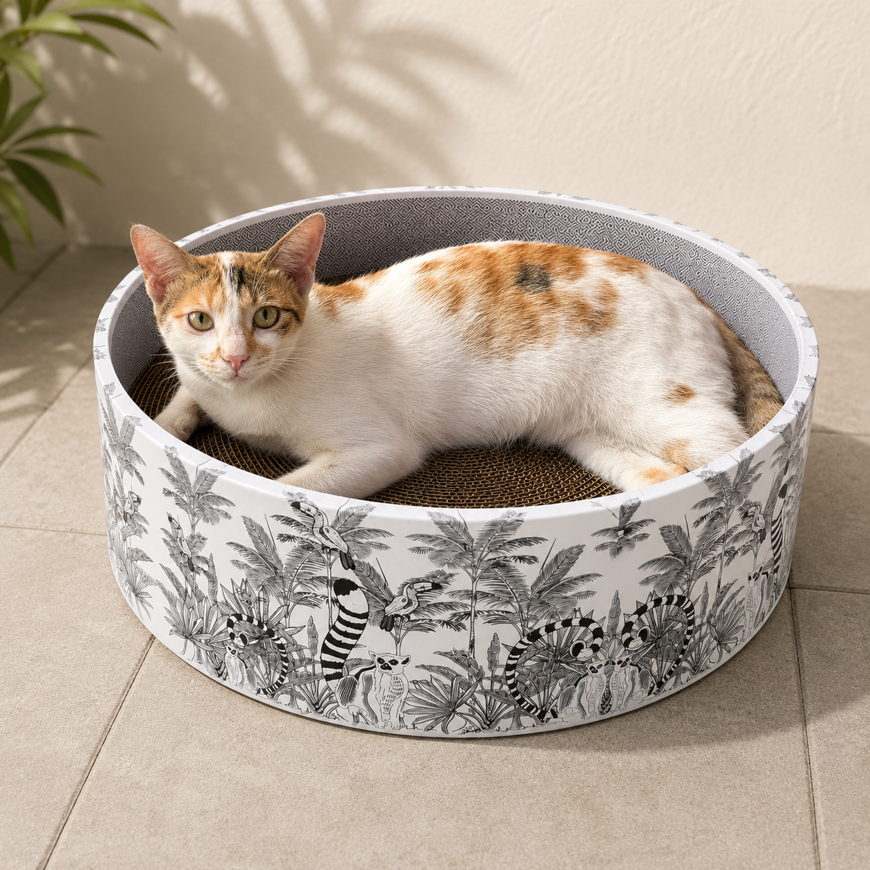 The Bella Scratch Bed