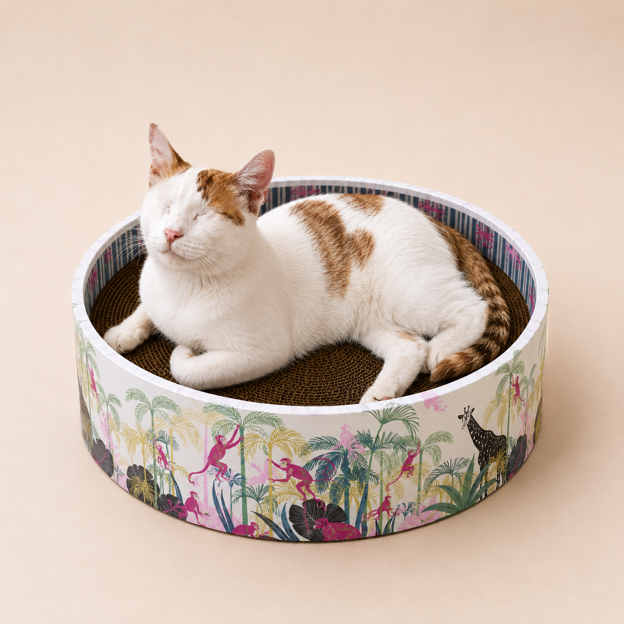 The Bella Scratch Bed