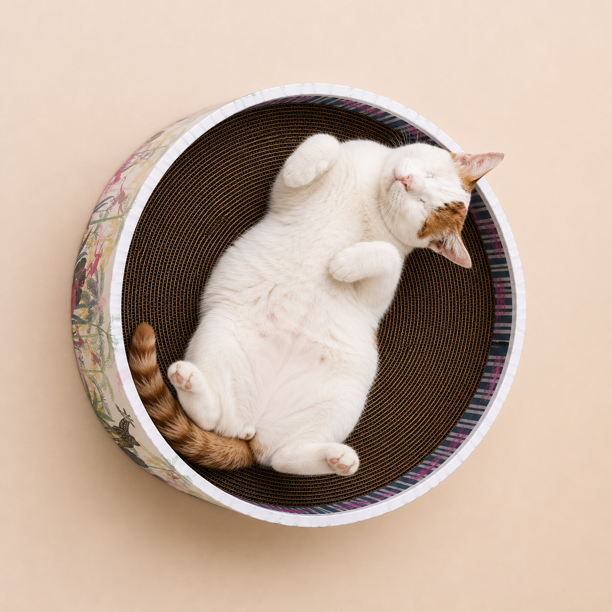 The Bella Scratch Bed