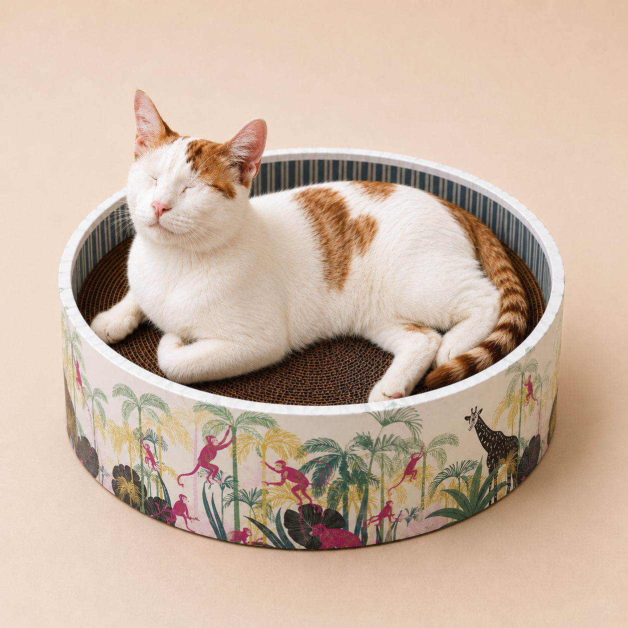 The Bella Scratch Bed