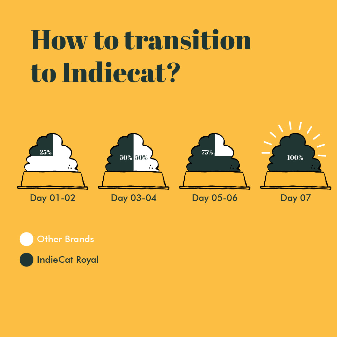 Indiecat Adult Chicken & Liver Royal Pate (80g)