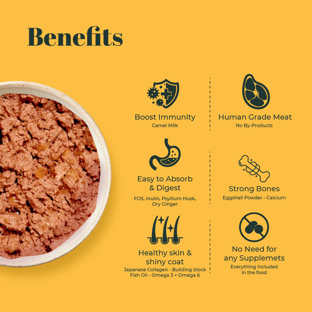 Indiecat Adult Chicken & Liver Royal Pate (80g)