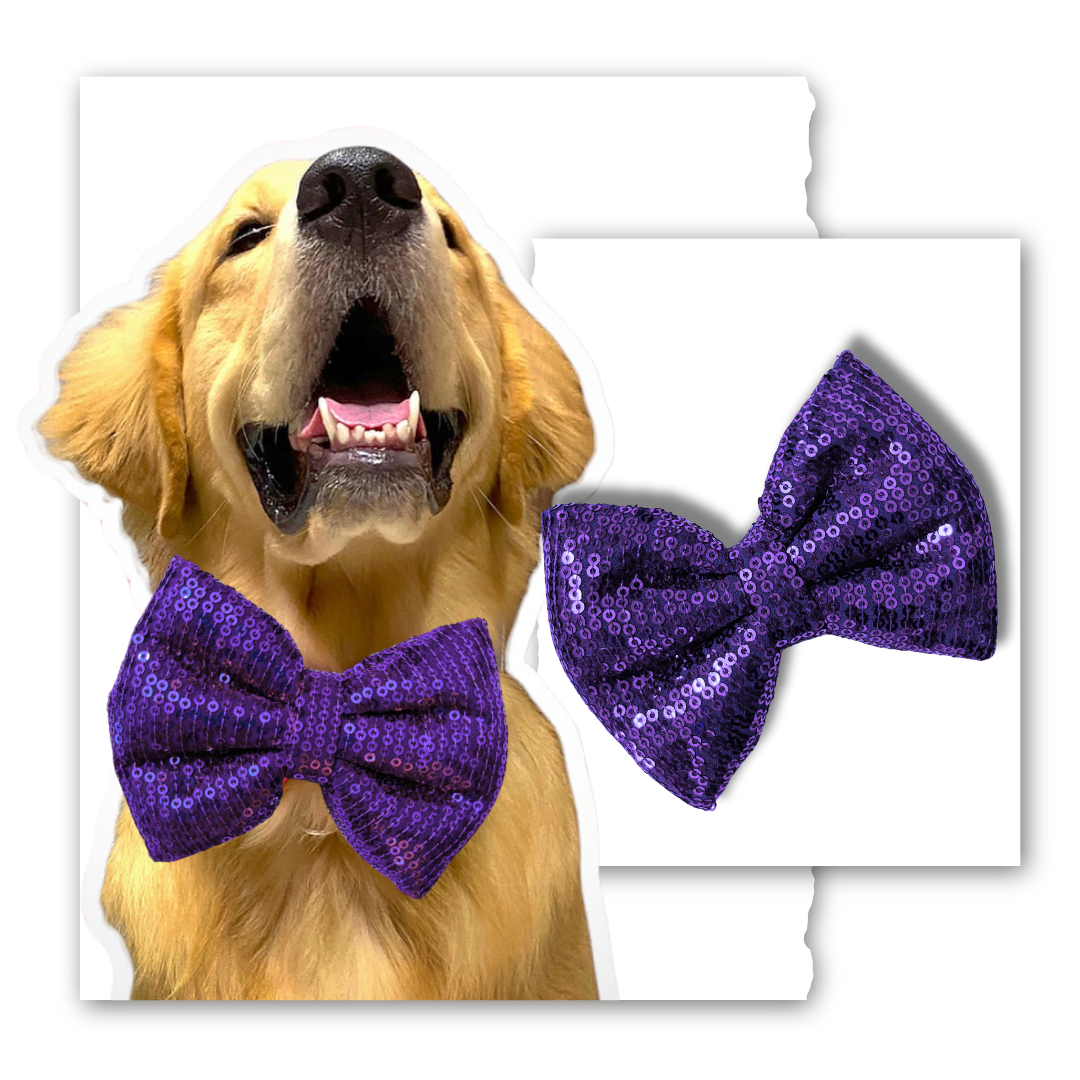 Sequin Bow Collection