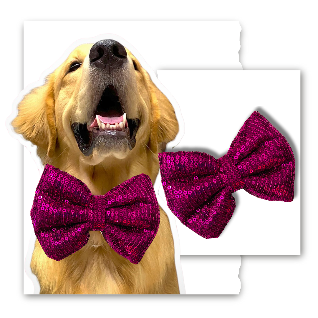 Sequin Bow Collection