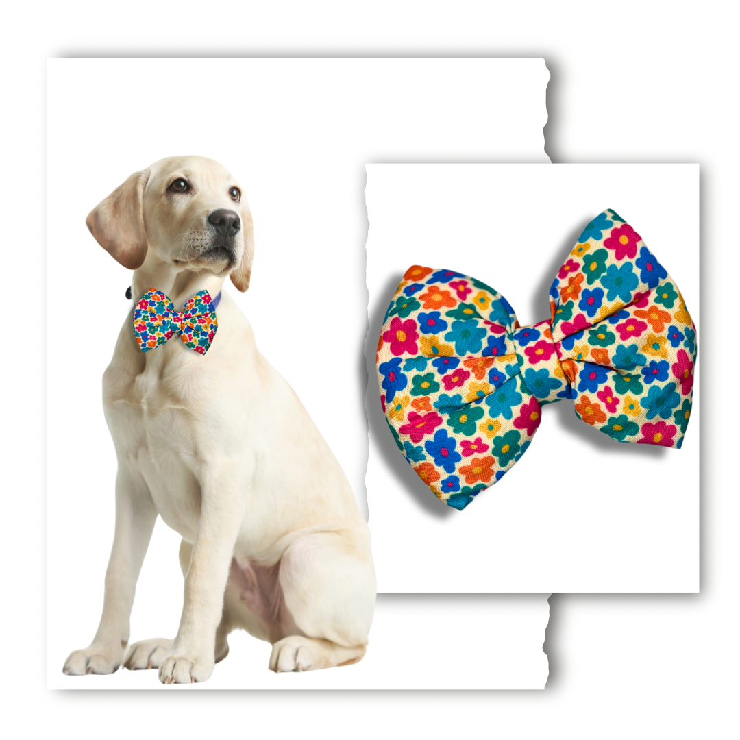 Classic Bow Collection