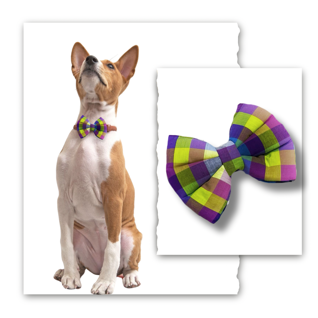 Classic Bow Collection