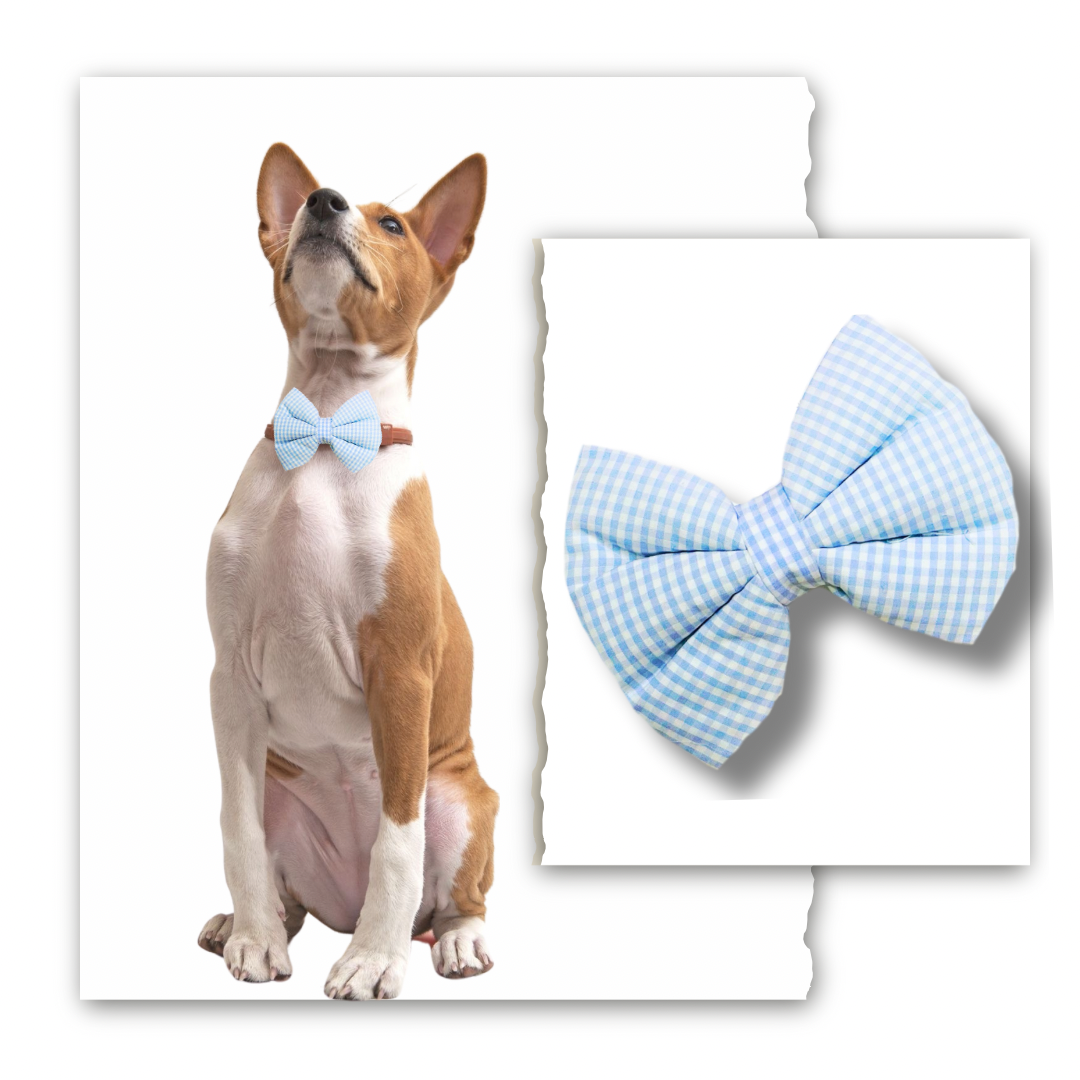 Classic Bow Collection