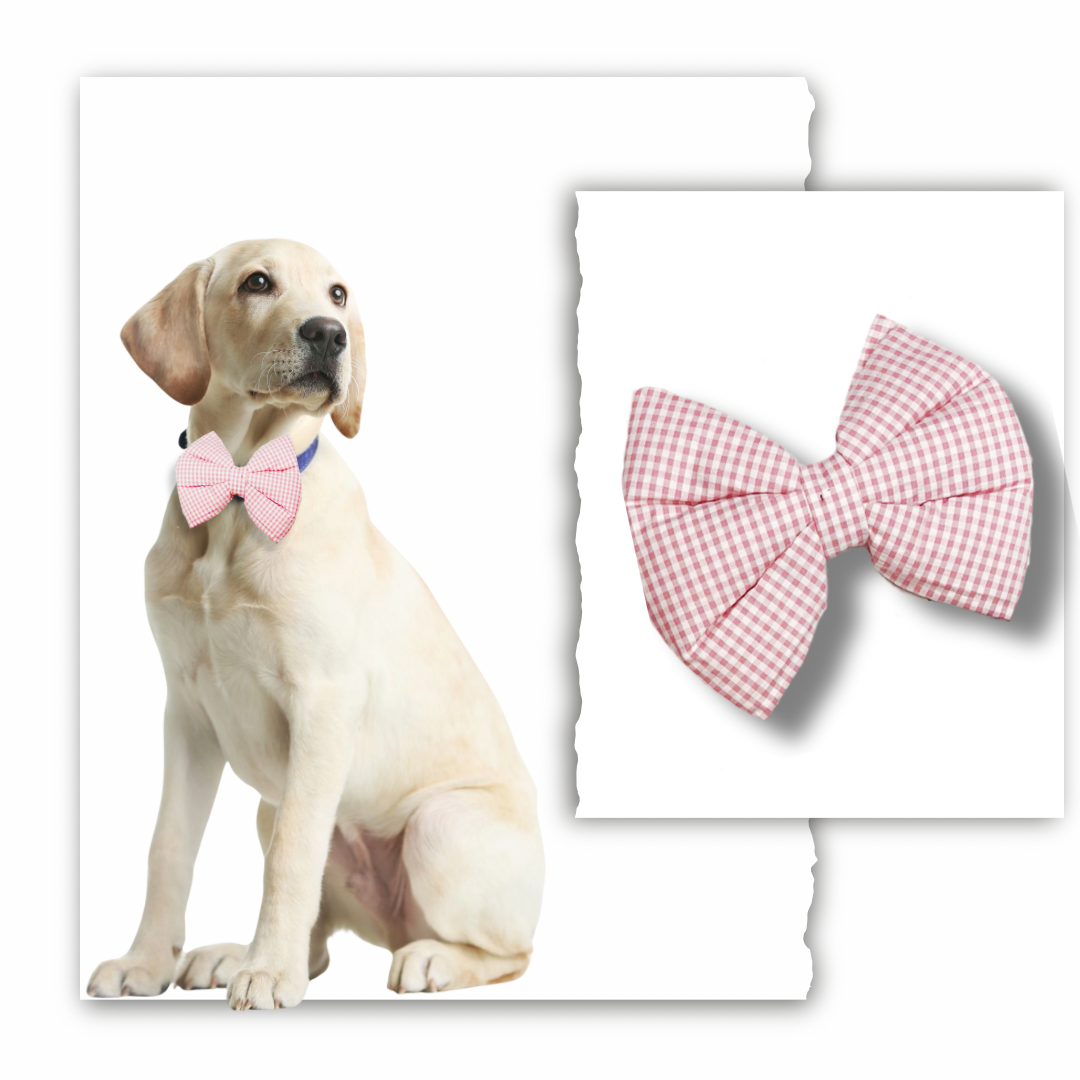 Classic Bow Collection