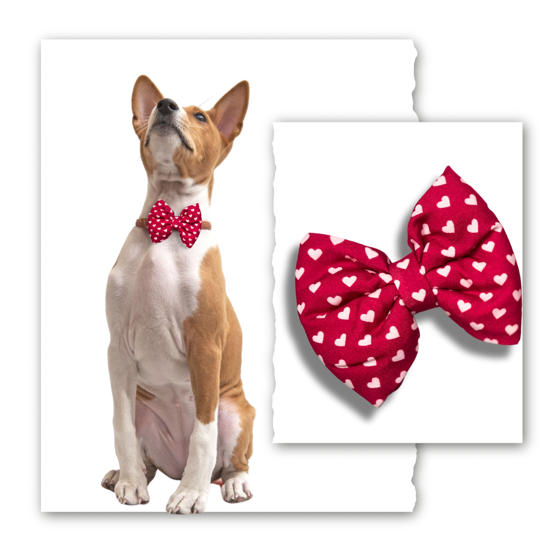 Classic Bow Collection