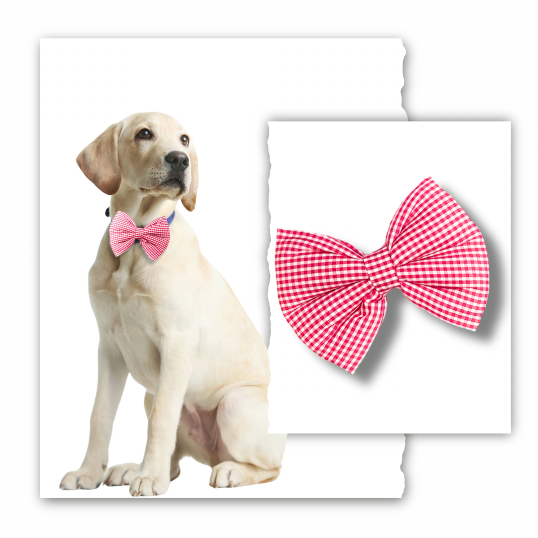 Classic Bow Collection