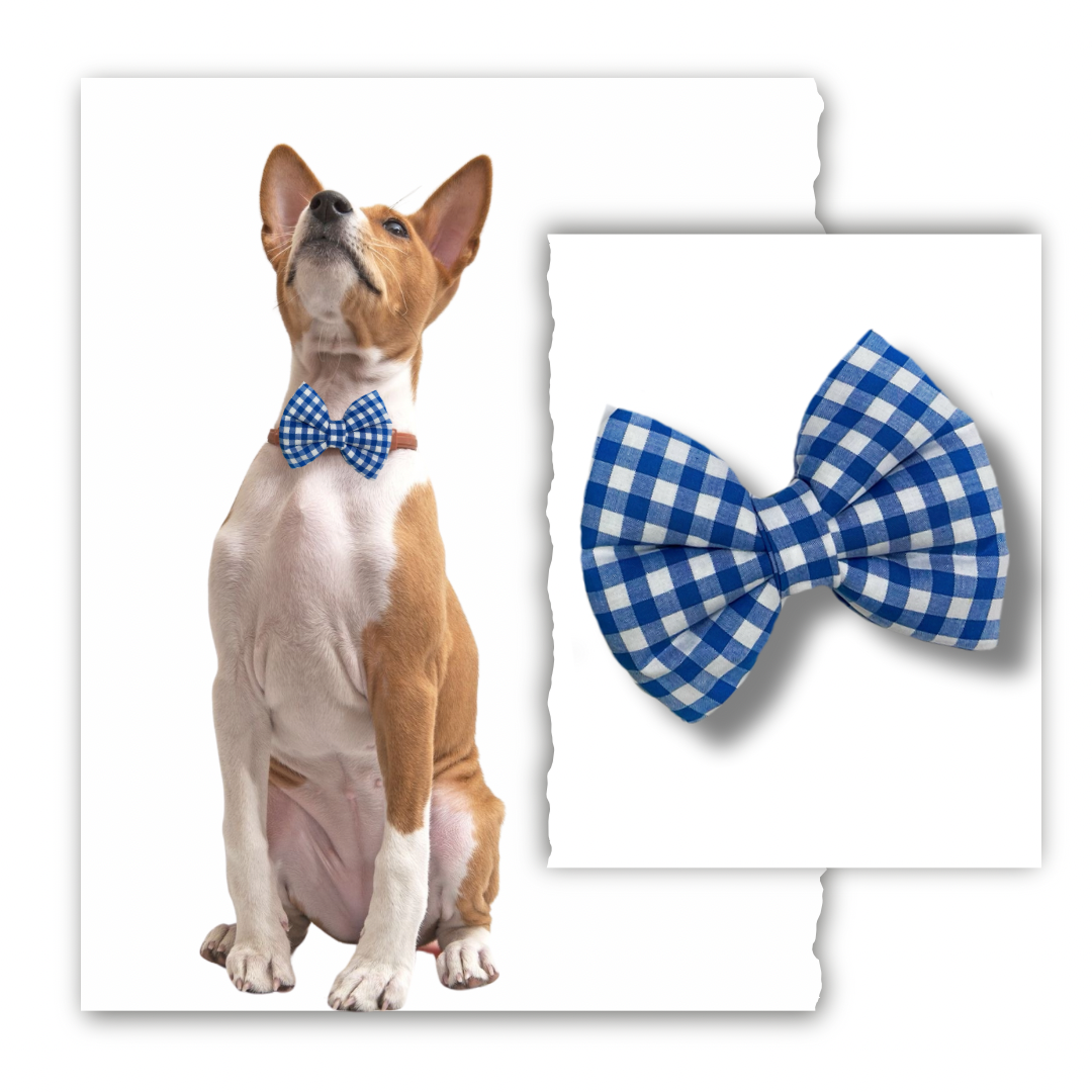 Classic Bow Collection