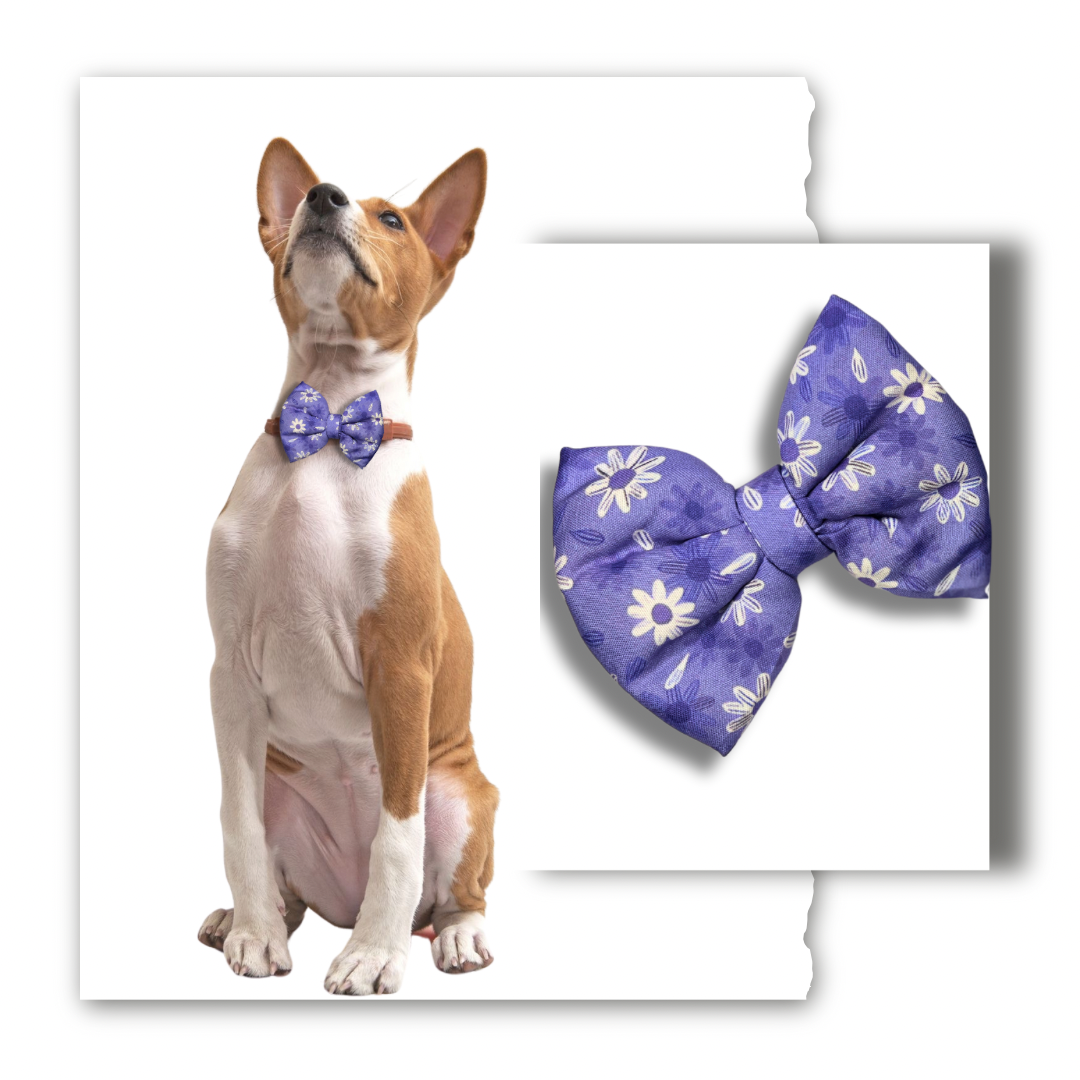 Classic Bow Collection