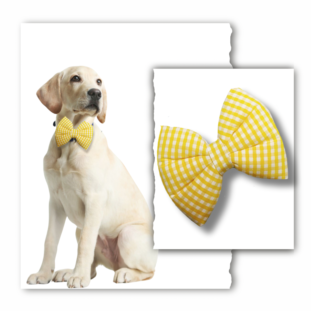 Classic Bow Collection