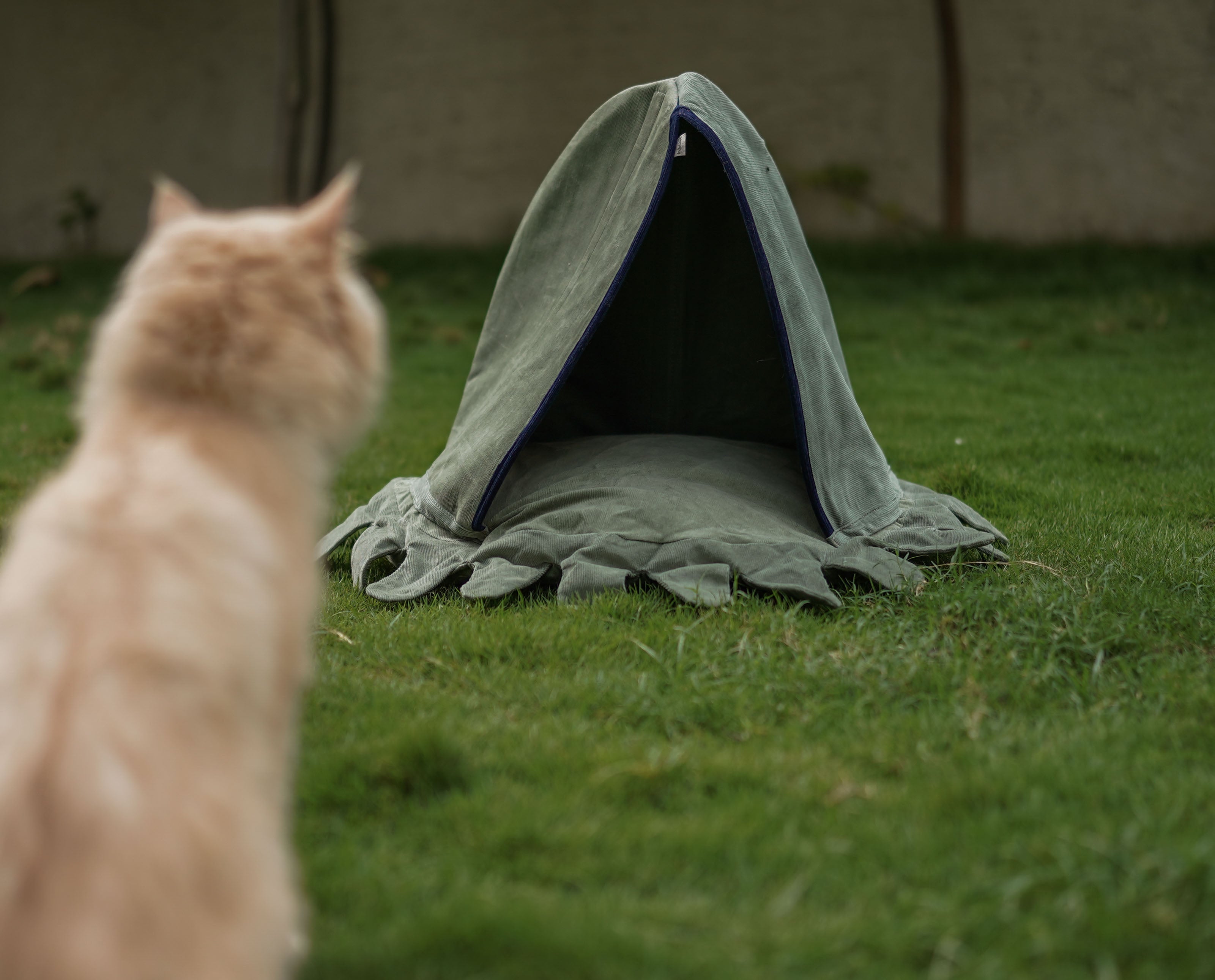 YODA X IndieGood cat/puppy Bedding Octy - Green