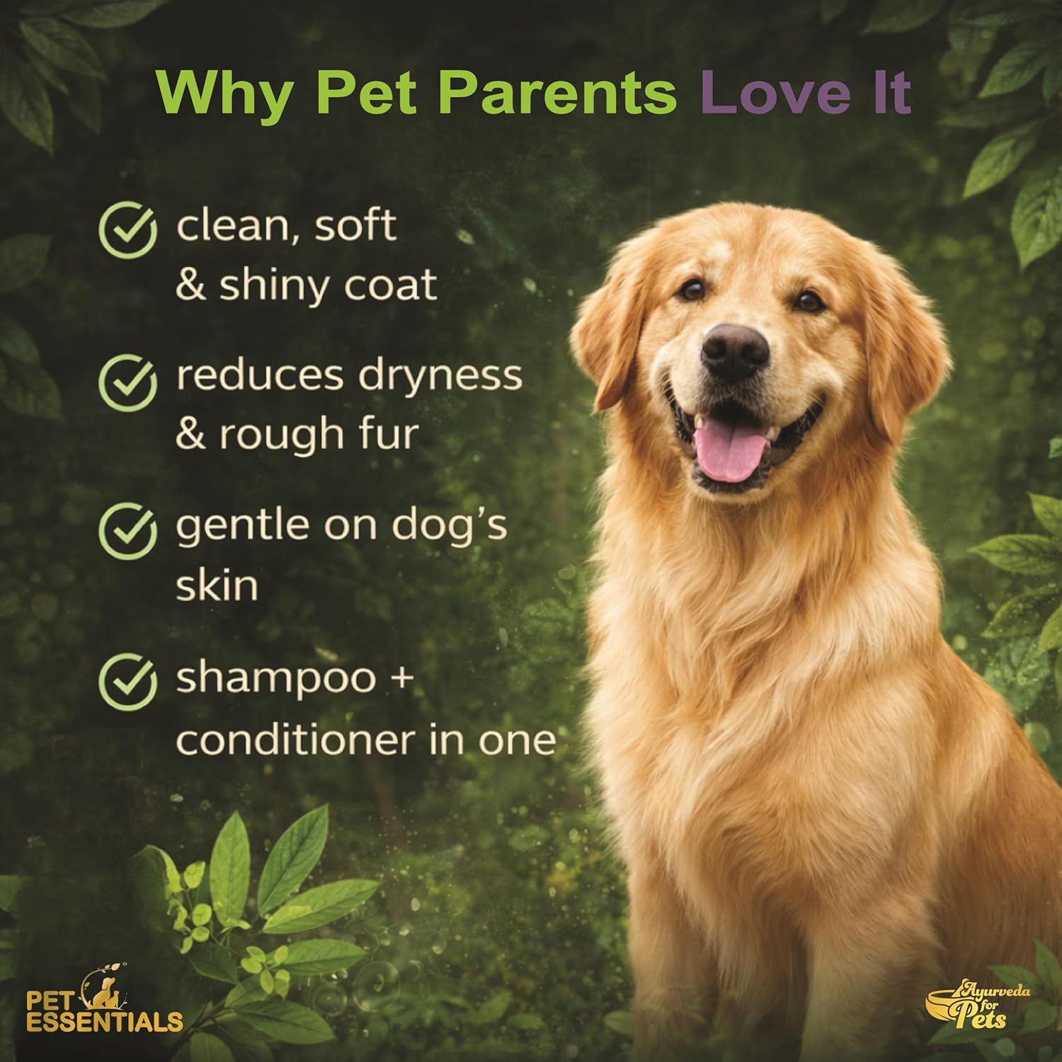 Lavender and Olive Oil Furwash & Conditioner