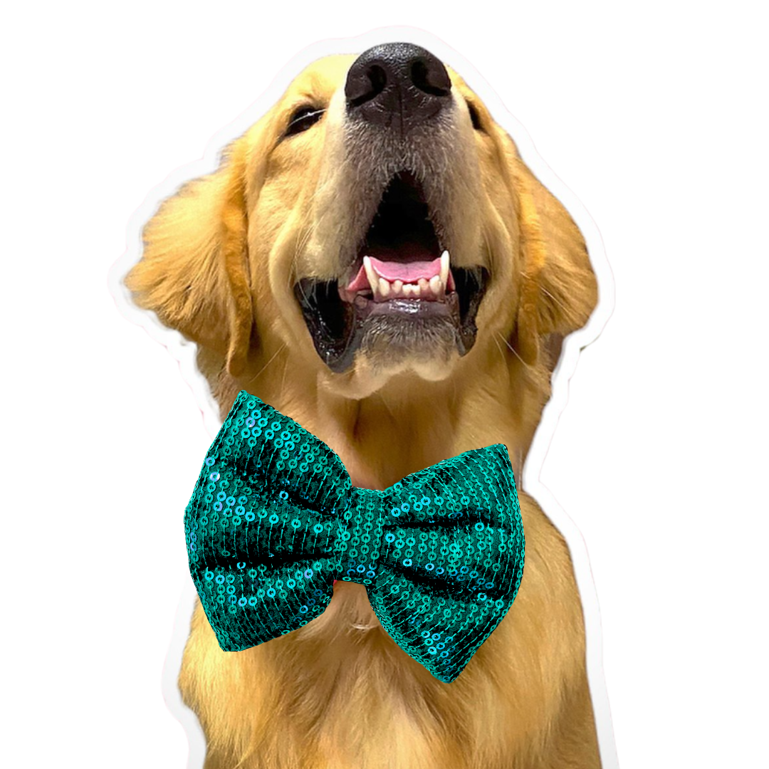 Sequin Bows- Fureverpupps