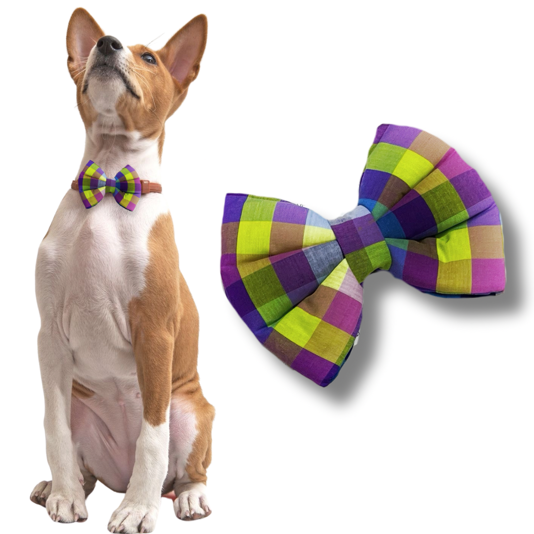 Normal Bows- by Fureverpupps