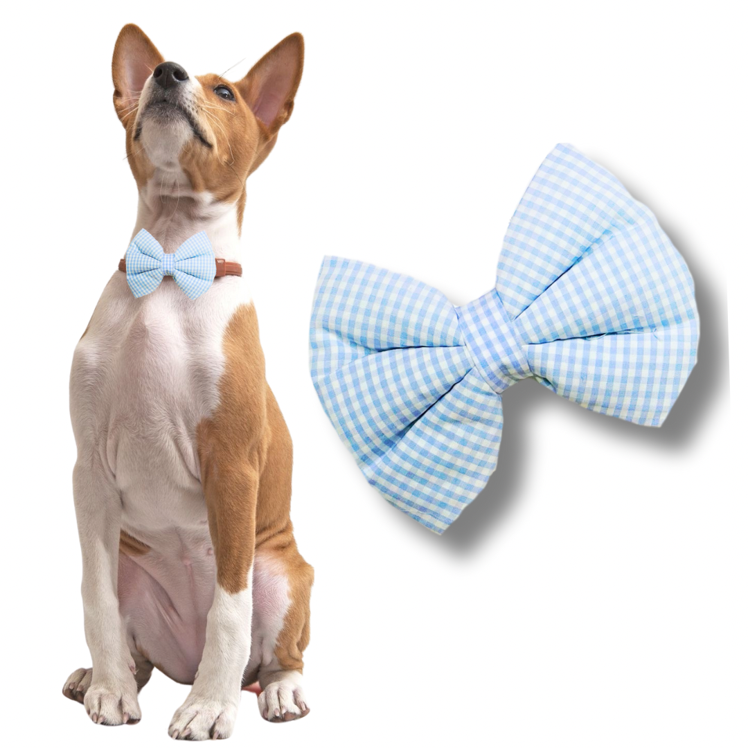 Normal Bows- by Fureverpupps