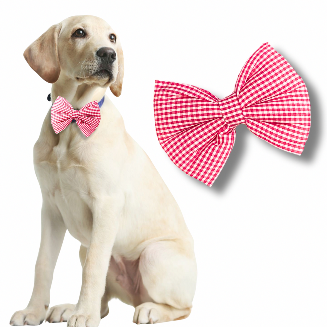 Normal Bows- by Fureverpupps