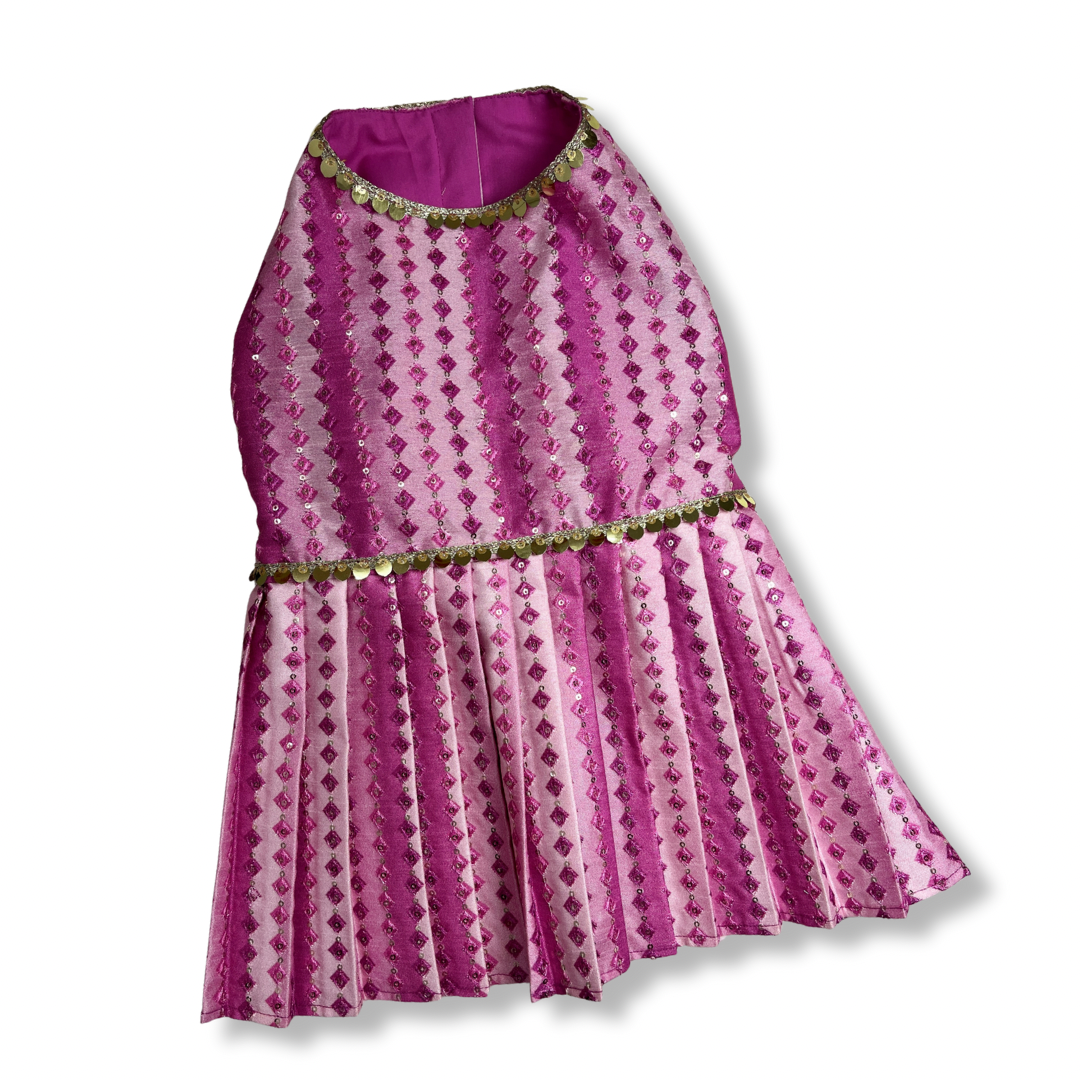 Festive Dress- by Fureverpupps