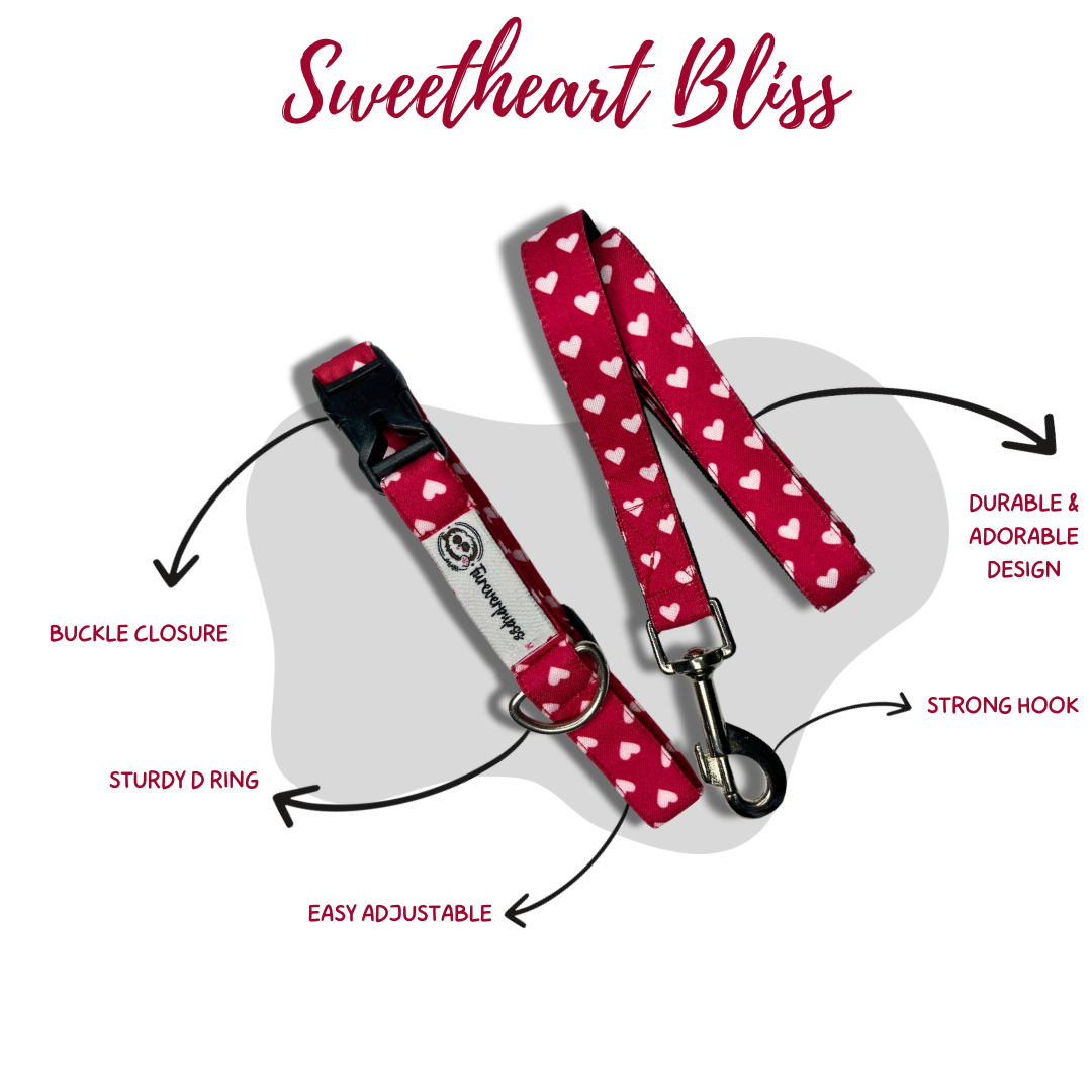 Leashes- by Fureverpupps