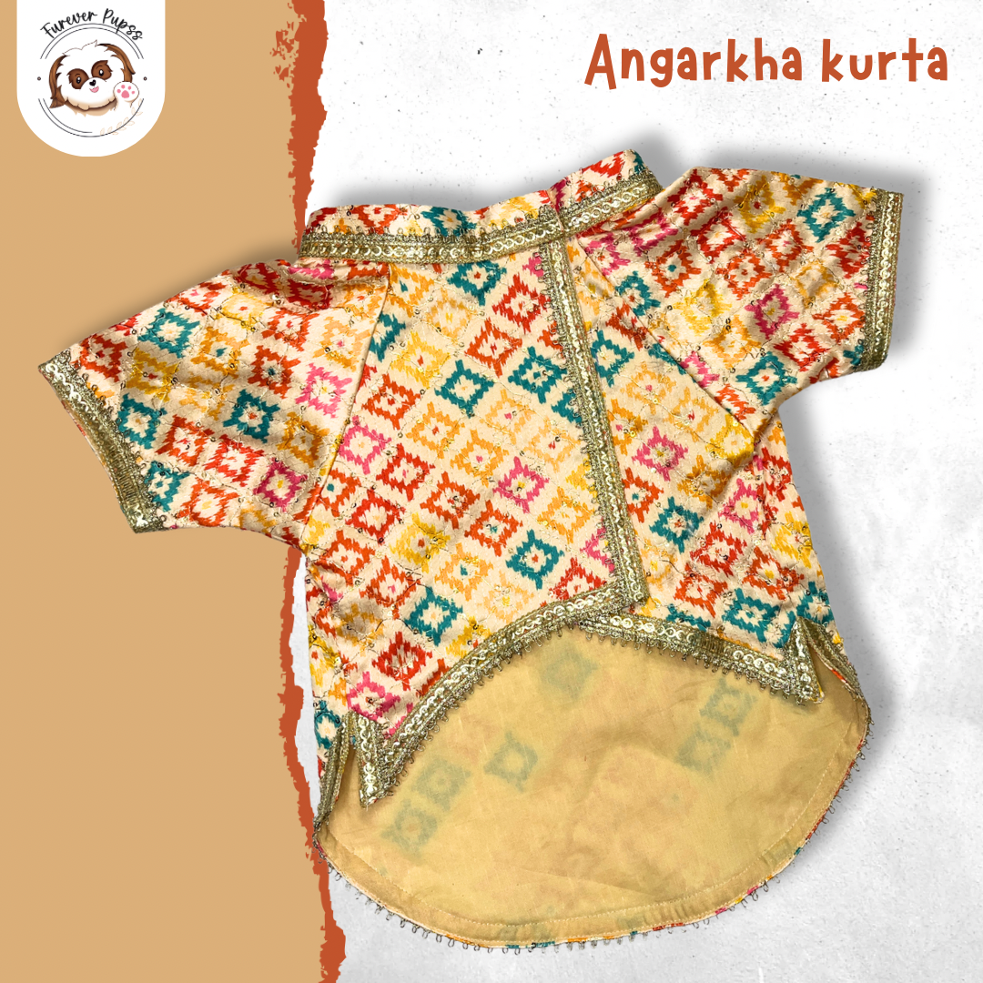 Festive Kurta- by Fureverpupps