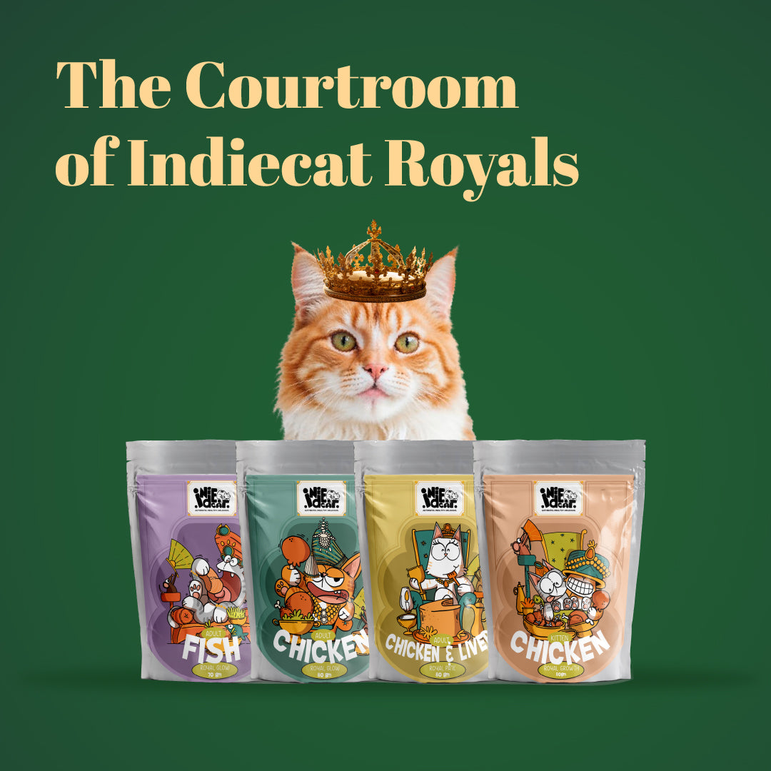 Indiecat Kitten Chicken Royal Growth (80g packs)