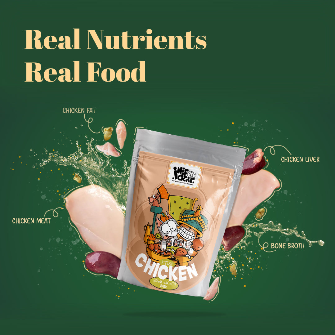 Indiecat Kitten Chicken Royal Growth (80g packs)