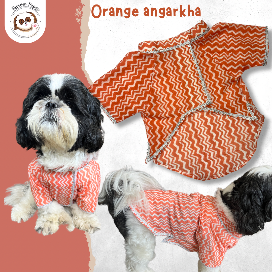 Festive Kurta- by Fureverpupps