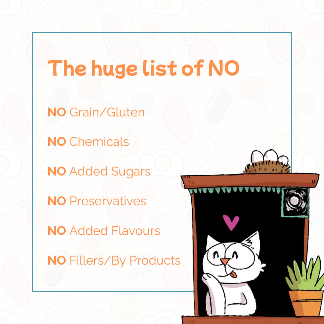 Trial pack of 5: Indie Cat Combo of Liver/Chicken & Egg/White Fish & Sardine/Tuna/ Senior Cat Mackerel & Chicken. Home-Style Meal, Wet Food for Cats and Kittens - (80g each)