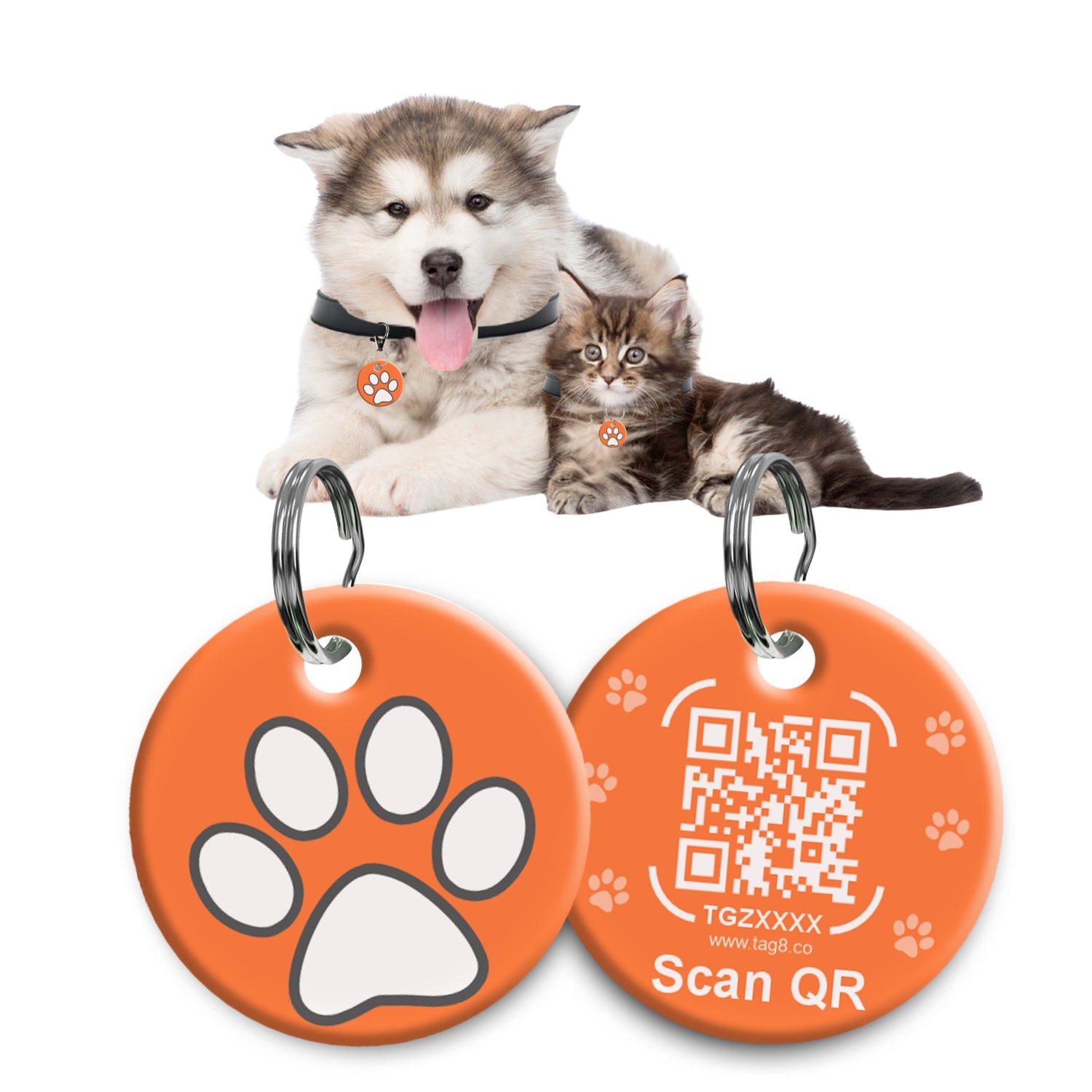 Geenie Pet Tag